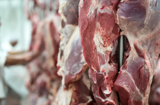 Reliable Hanging Meat Transport by DarkBlueShipping