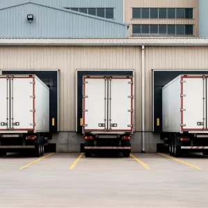 LCL Reefer Container Guide for Cost-Effective Cold Shipping